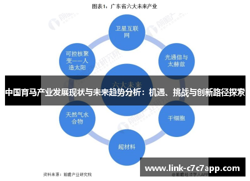 中国育马产业发展现状与未来趋势分析：机遇、挑战与创新路径探索